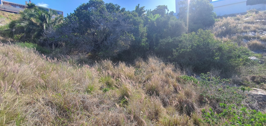 0 Bedroom Property for Sale in Linkside Western Cape